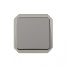 Plexo poussoir NO 10A 250V mécanisme IP55 IK08 gris